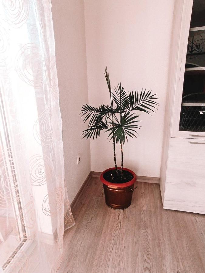 Poseidon House Apartment Мостар Екстериор снимка